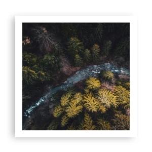 Poszter - Gyorsan, egyre gyorsabban - 60x60 cm