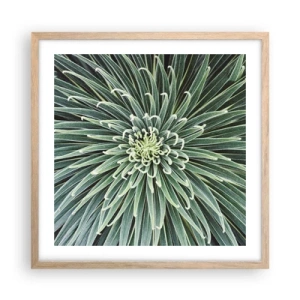 Poszter világos tölgy keretben - Csillag születik - 50x50 cm