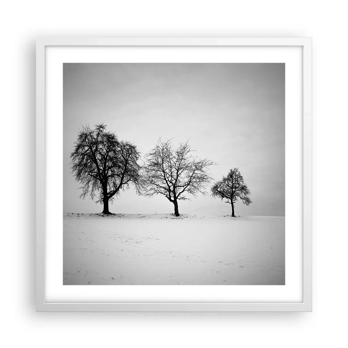 Poszter fekete keretben - Miről álmodoznak? - 50x50 cm