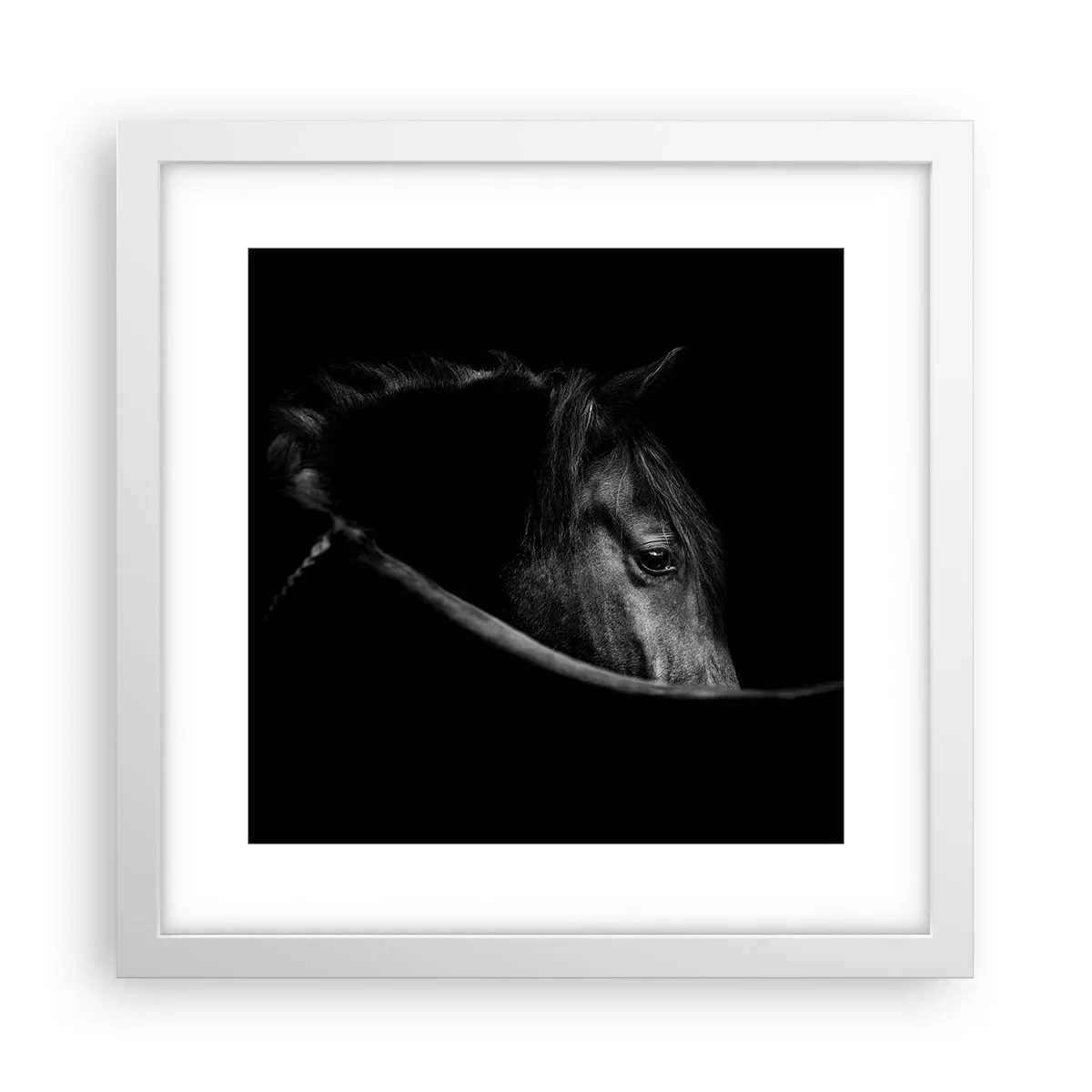 Poszter fekete keretben - Fekete herceg - 30x30 cm