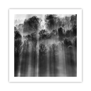 Poszter - Fénypatakokban - 50x50 cm