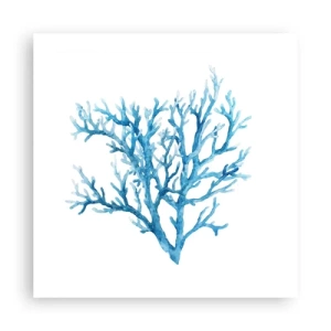 Poszter - Tengeri filigrán - 50x50 cm