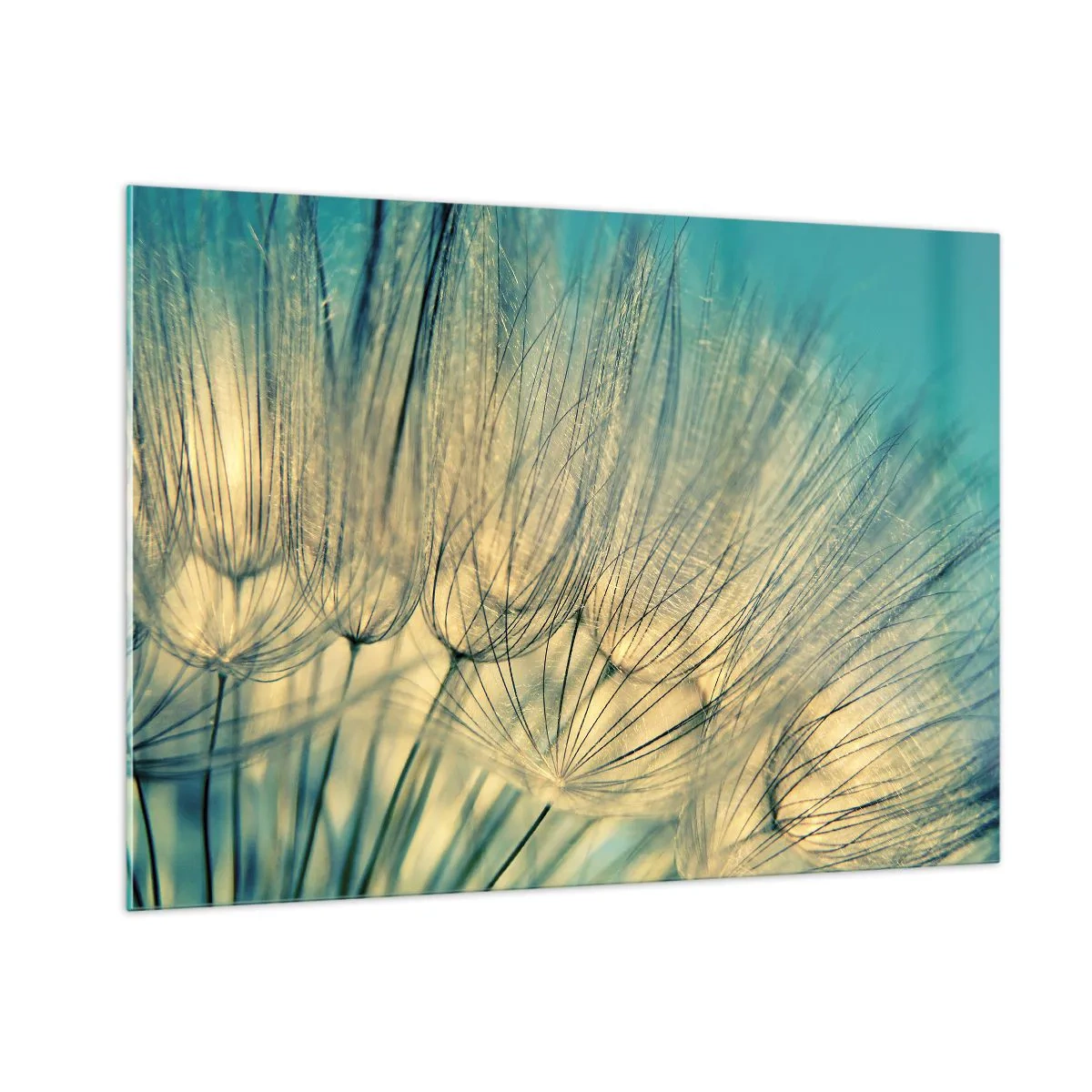 Üveg kép - A szélre várva - 100x70 cm