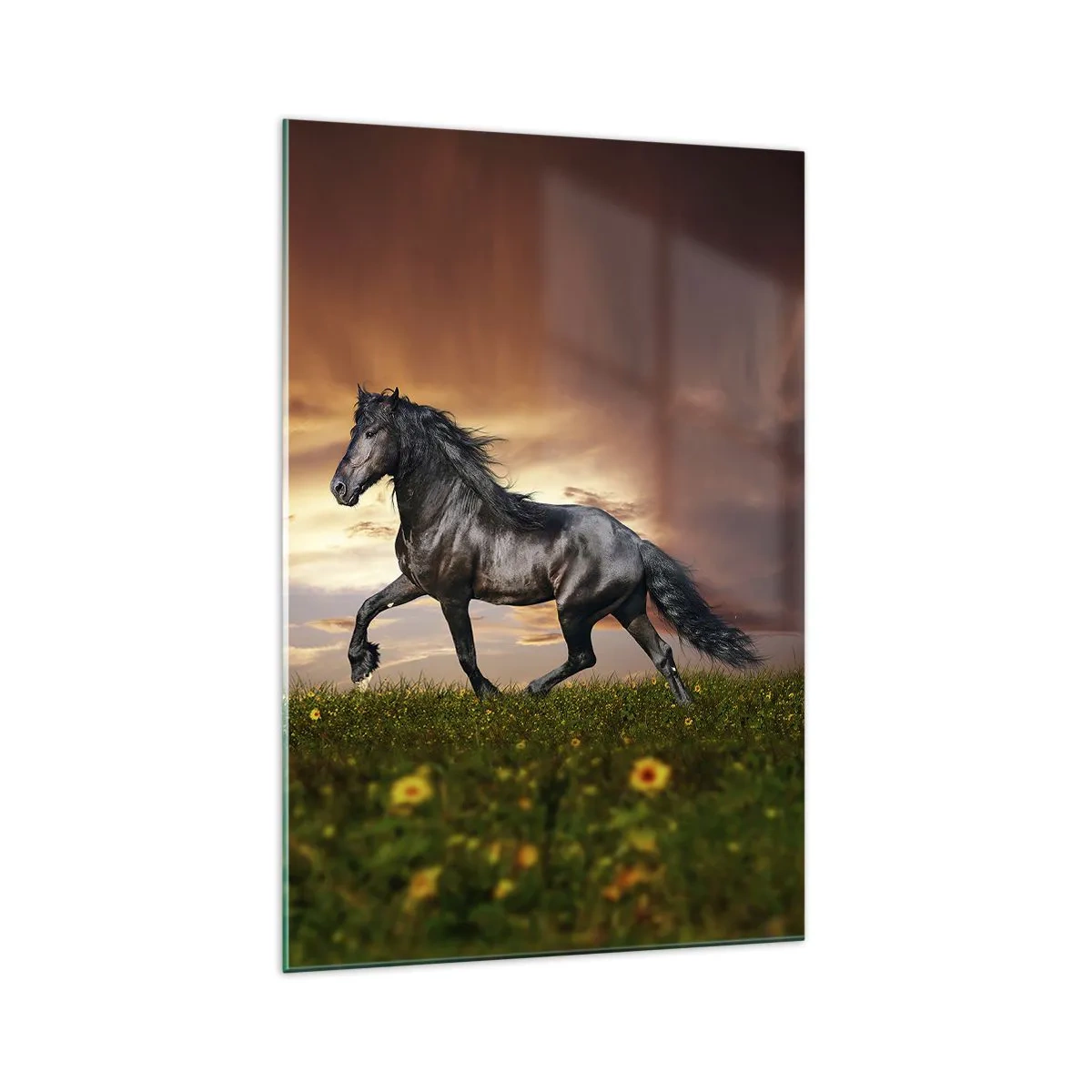 Üveg kép - Fekete herceg - 70x100 cm