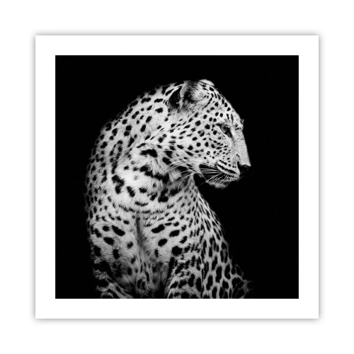 Poszter - Tökéletes jobb  profil! - 50x50 cm