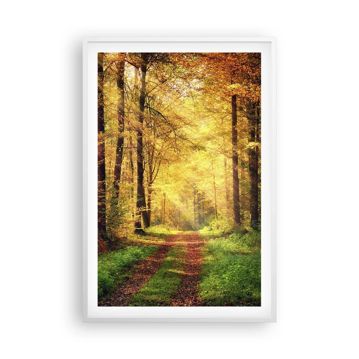 Poszter fekete keretben - Erdei, arany csend - 61x91 cm