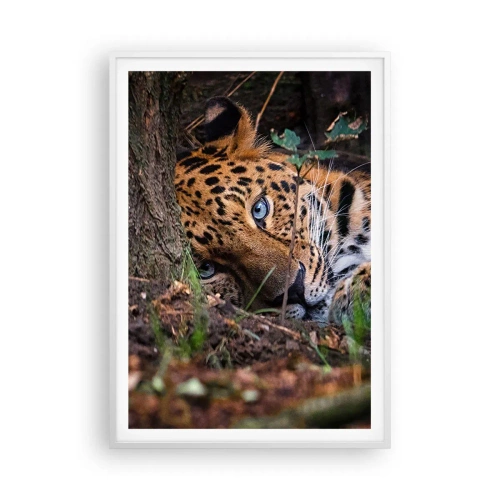 Poszter fekete keretben - Bízz bennem - 70x100 cm