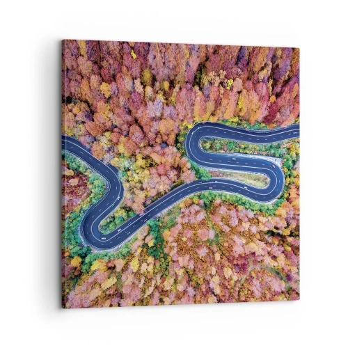 Vászonkép - Kanyargós út az erdőn keresztül - 60x60 cm