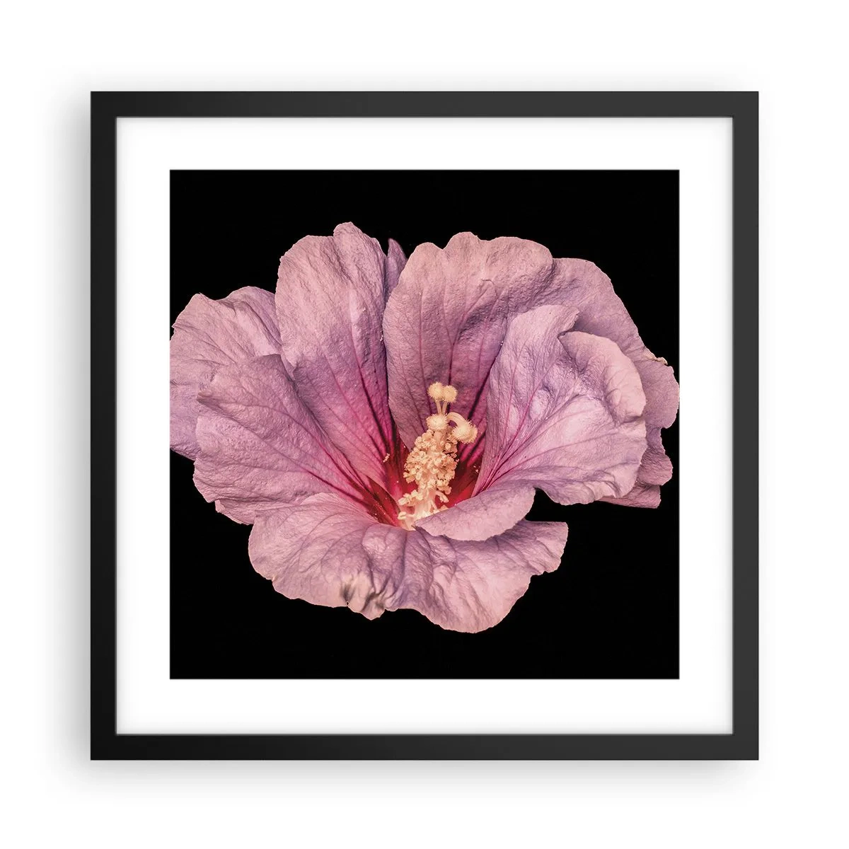 Poszter fehér keretben - Egyenesen a szív felé - 40x40 cm