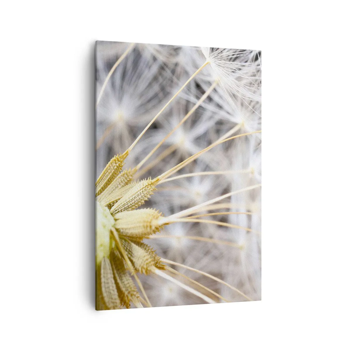 Vászonkép - Közvetlenül az indulás előtt - 70x100 cm