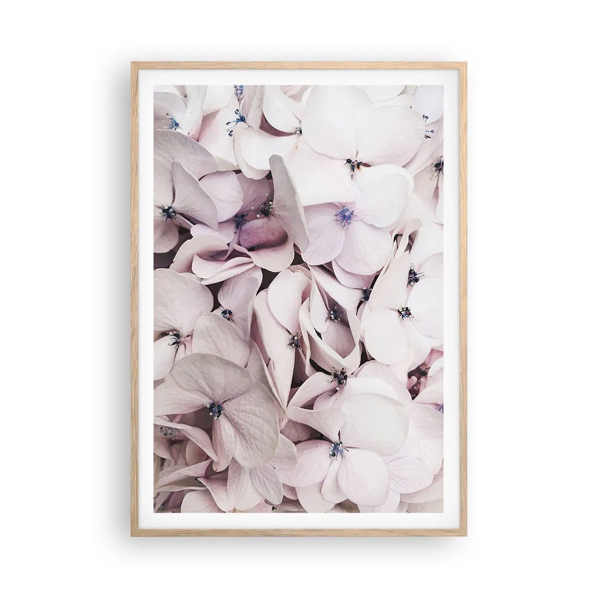 Poszter világos tölgy keretben - A virágok áradatában - 70x100 cm