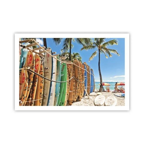 Poszter - Napos mulatság - 91x61 cm