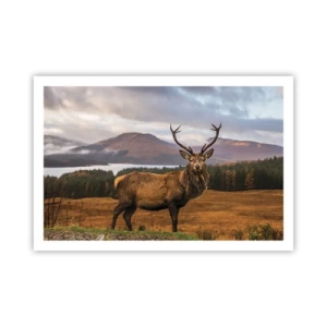 Poszter - A természet fensége - 91x61 cm