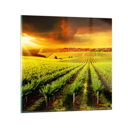 Üveg kép - Ausztrál nap alatt - 30x30 cm