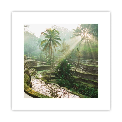 Poszter - Felnőni a napon - 30x30 cm