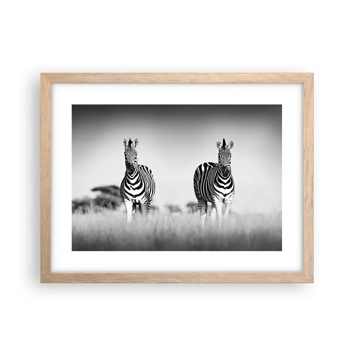 Poszter világos tölgy keretben - A világ mégis fekete-fehér - 40x30 cm