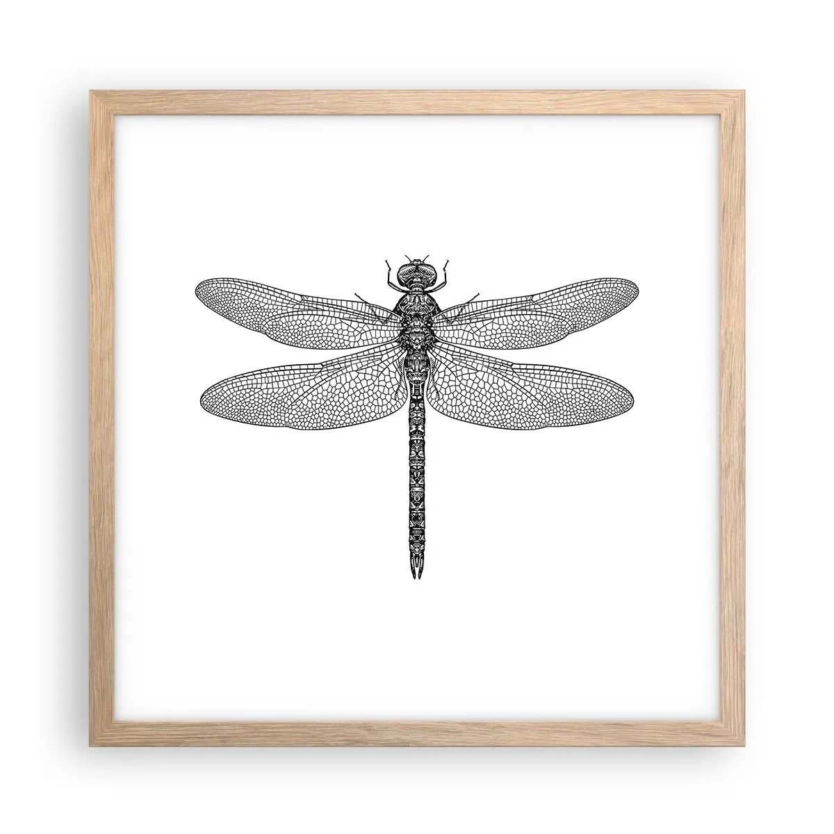 Poszter világos tölgy keretben - A természet precizitása - 40x40 cm