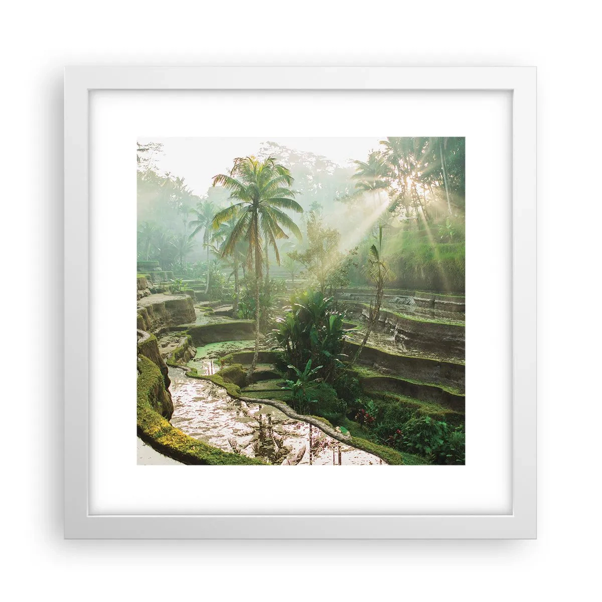 Poszter fekete keretben - Felnőni a napon - 30x30 cm