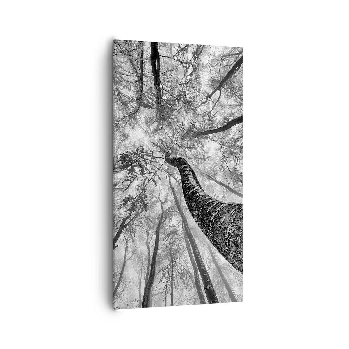 Vászonkép - Verseny a fény felé - 65x120 cm