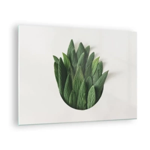 Üveg kép - Zöld levelek váza alakban elrendezve fehér alapon - 70x50cm - Féktelen kíváncsiság - Modern fali dekoráció nappalihoz és hálószobához ARTTOR