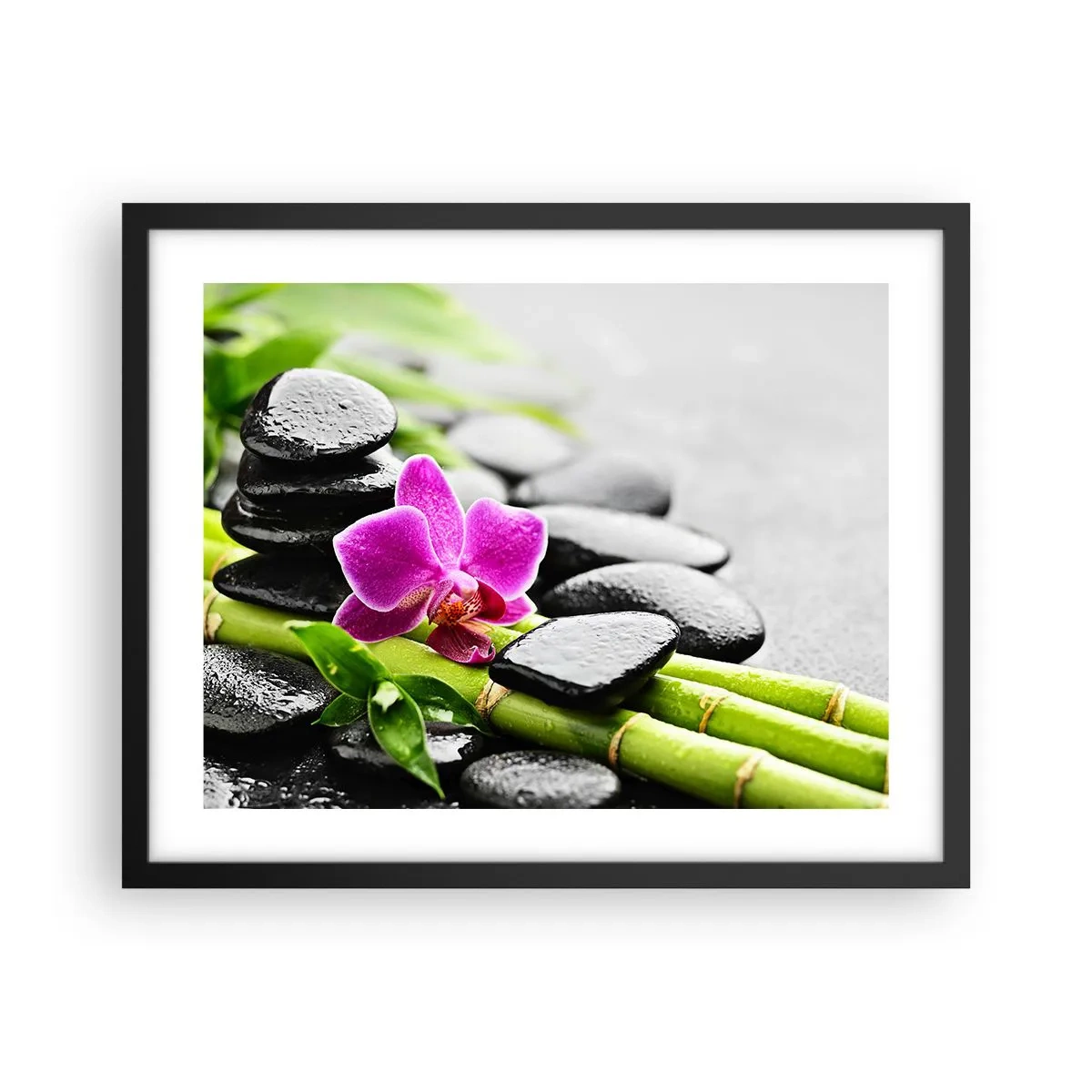 Poszter fehér keretben - Nyugodt egyensúlyban - 50x40 cm