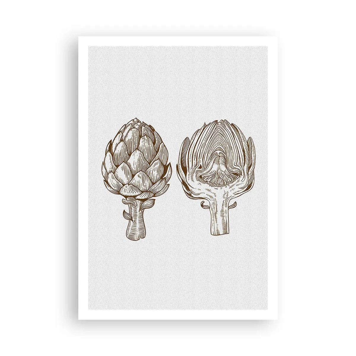 Poszter - Anatómia lecke - 70x100 cm