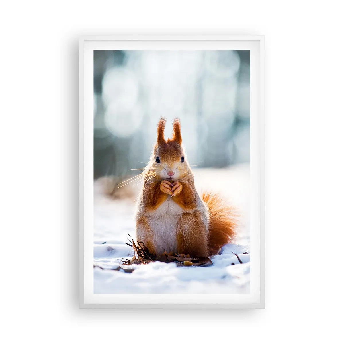 Poszter fekete keretben - Mit nézel? - 61x91 cm