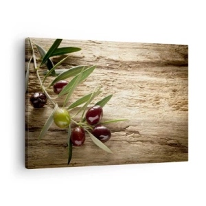 Vászonkép - Olajág gyümölccsel, öregített fa háttéren - 70x50cm - Egyenesen a természetből - Modern fali dekoráció nappalihoz és hálószobához ARTTOR