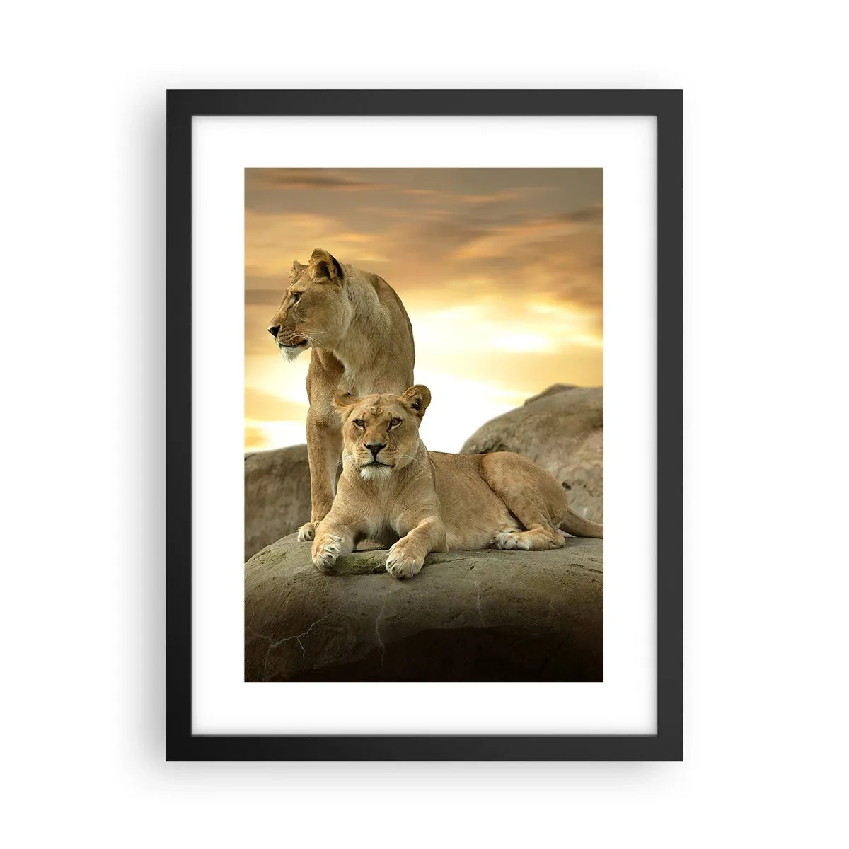 Poszter fehér keretben - Királyi felség - 30x40 cm