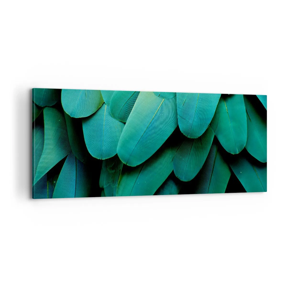 Vászonkép - A papagájtermészet precizitása - 100x40 cm