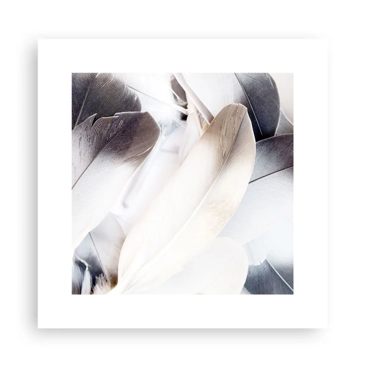 Poszter - Szinte angyali - 30x30 cm