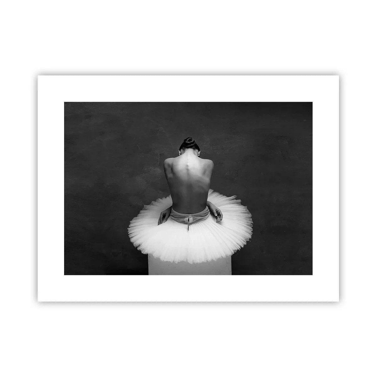 Poszter - Épp virágzik - 40x30 cm