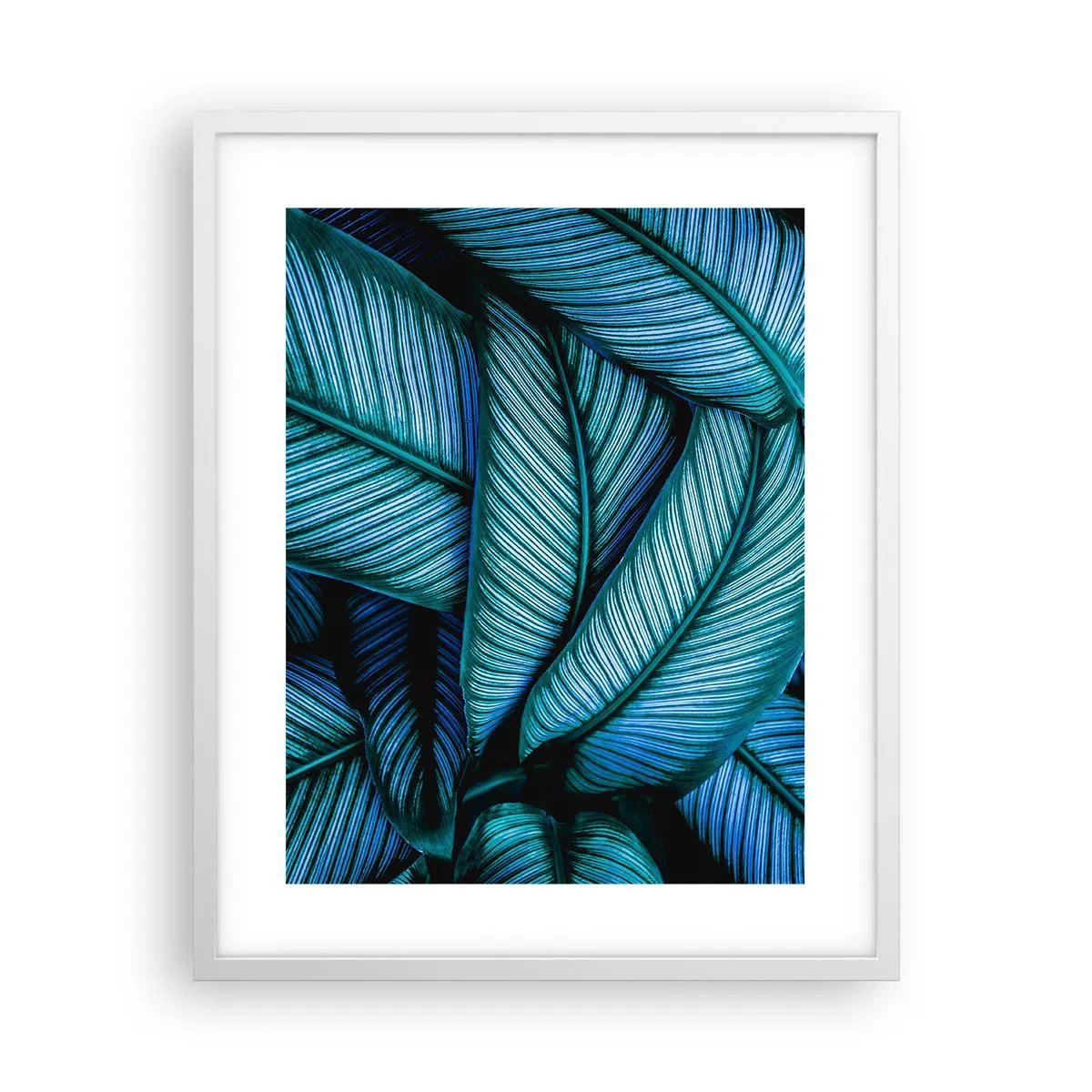 Poszter fekete keretben - Életvonalak - 40x50 cm