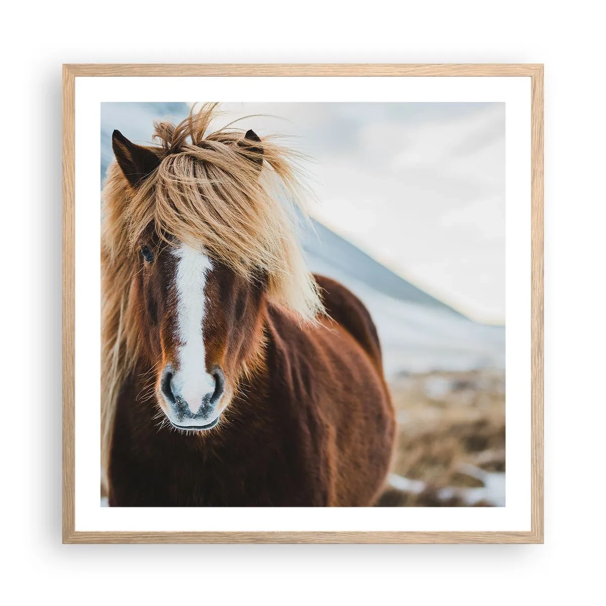 Poszter világos tölgy keretben - Érzed a szabadságot? - 60x60 cm