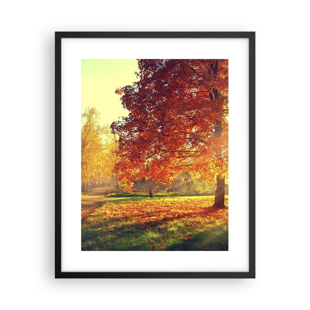Poszter fehér keretben - A vörös gyönyörű - 40x50 cm