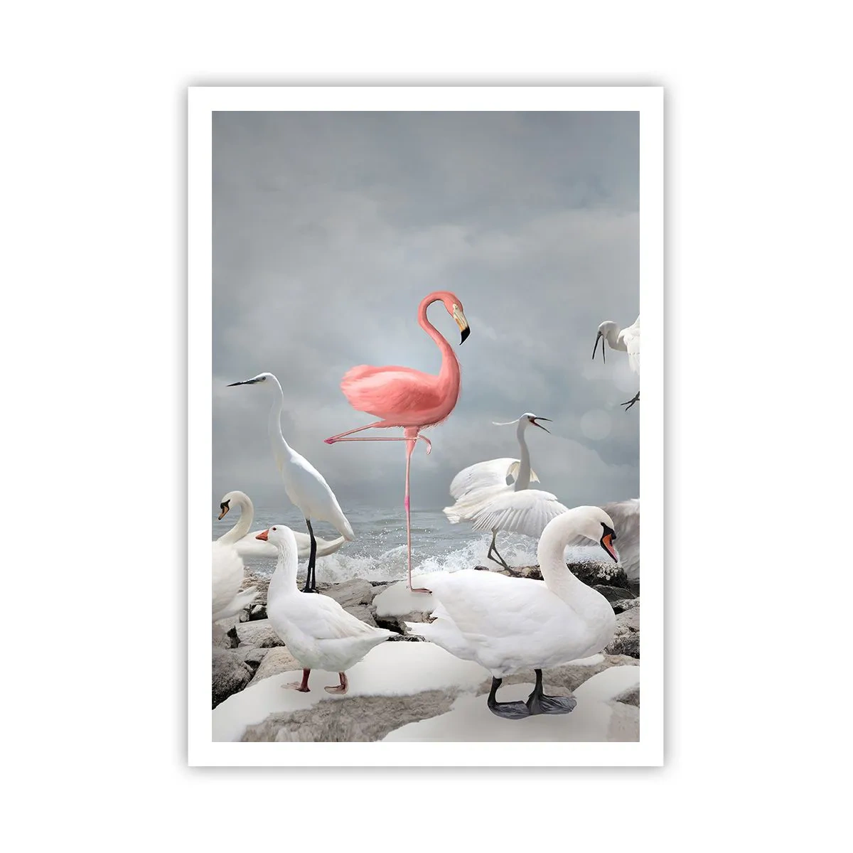 Poszter - Hogy kerültem ide? - 70x100 cm