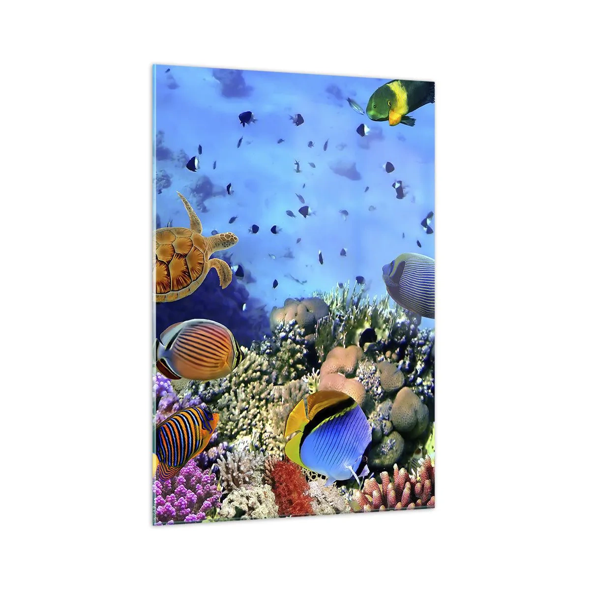 Üveg kép - És mit tudunk az életről... - 70x100 cm