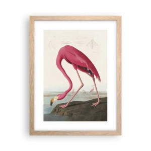 Poszter világos tölgy keretben - Csodálatos teremtmény - 30x40 cm