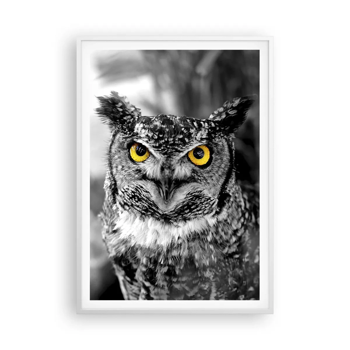 Poszter fekete keretben - Semmi sem fog elbújni - 70x100 cm