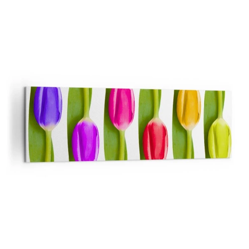 Vászonkép - Szivárvány kompozíció - 160x50 cm