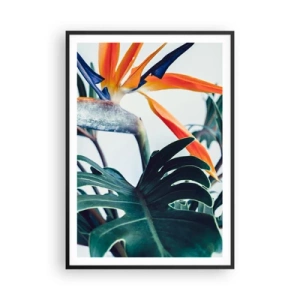 Poszter fehér keretben - Madárkalitka - 70x100 cm