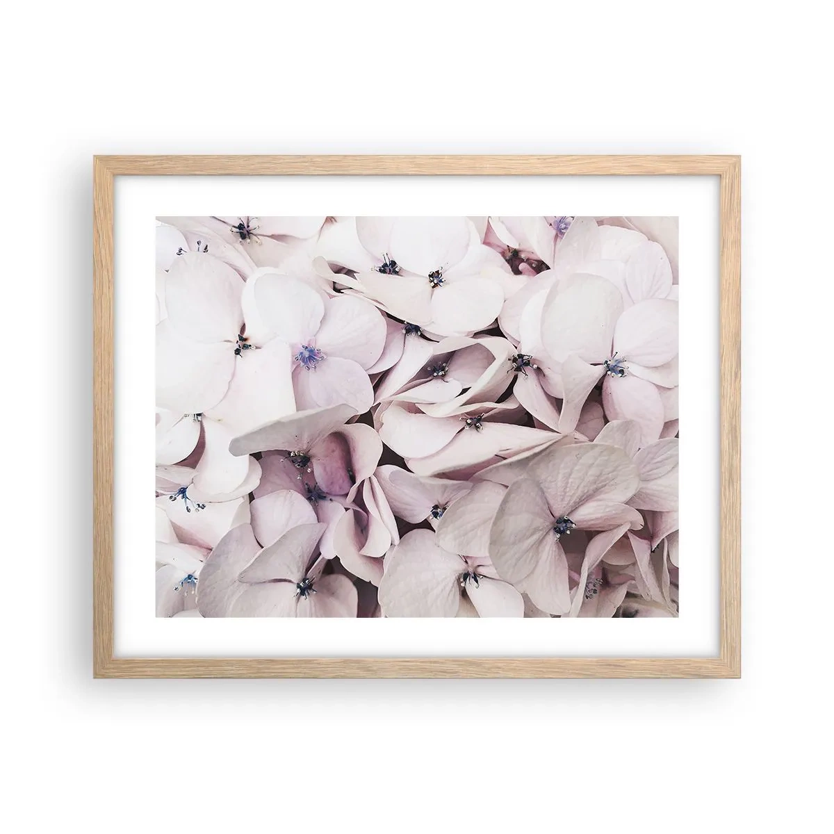 Poszter világos tölgy keretben - A virágok áradatában - 50x40 cm