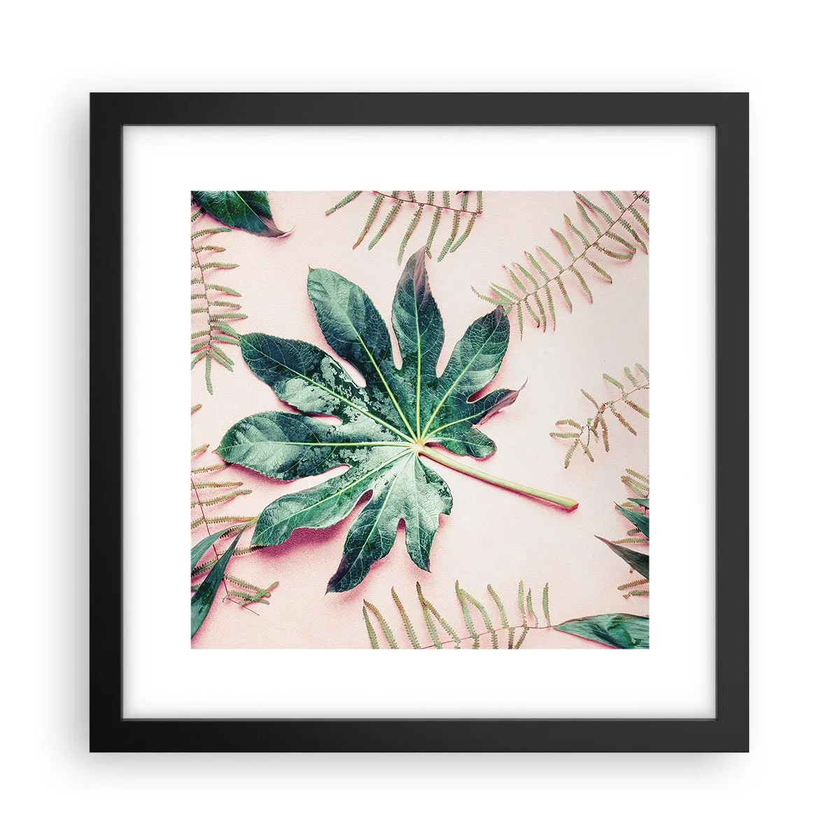 Poszter fehér keretben - A zöld tanulmánya a rózsaszín háttérben - 30x30 cm