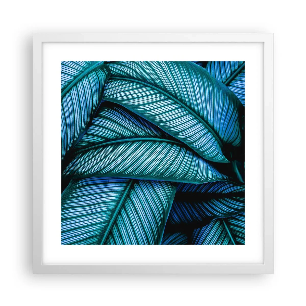 Poszter fekete keretben - Életvonalak - 40x40 cm