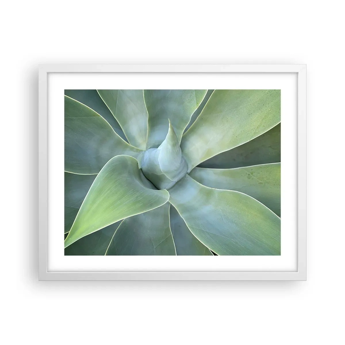 Poszter fekete keretben - A zöld születése - 50x40 cm