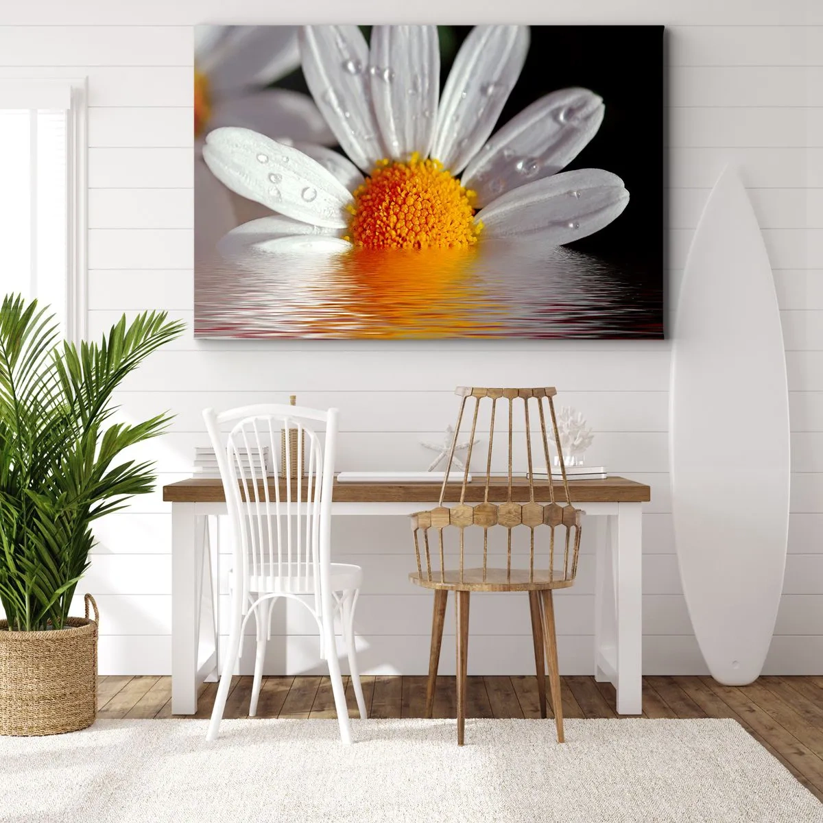 Vászonkép - Egy fehér százszorszép vízcseppekkel, amelyek víztükörbe merülnek - 70x50cm - A százszorszép felkelő napja - Modern fali dekoráció nappalihoz és hálószobához ARTTOR