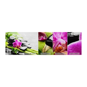 Fotótapéta Minta Premium Sand - Nyugodt egyensúlyban - Virágok, Orchidea, Orchidea - 100x30 cm