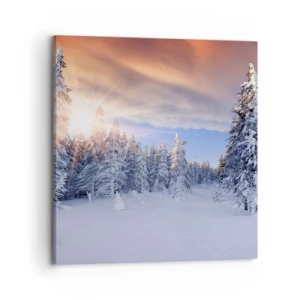 Vászonkép - A természet havas látványa - 70x70 cm