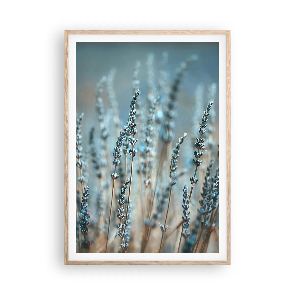 Poszter világos tölgy keretben - Illatos szálak - 70x100 cm