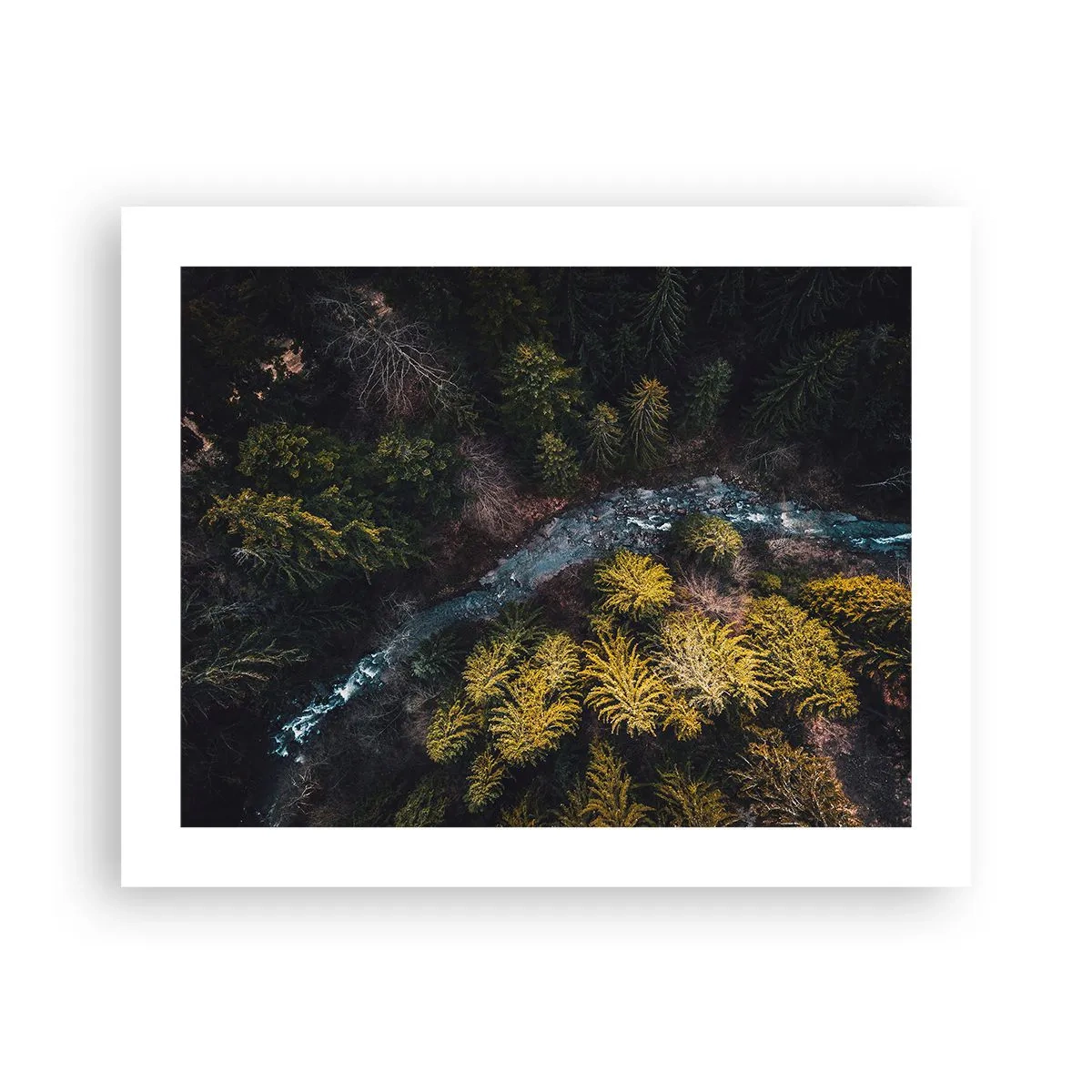 Poszter - Gyorsan, egyre gyorsabban - 50x40 cm